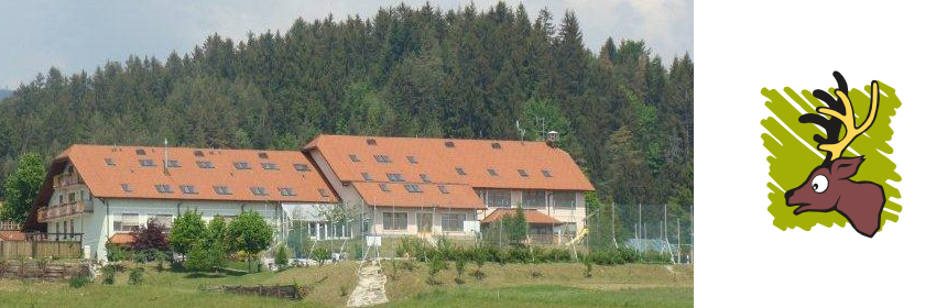 prikazna slika, cšod gorenje